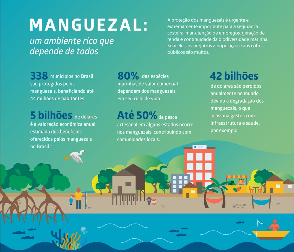 serviços ecossistêmicos dos manguezais