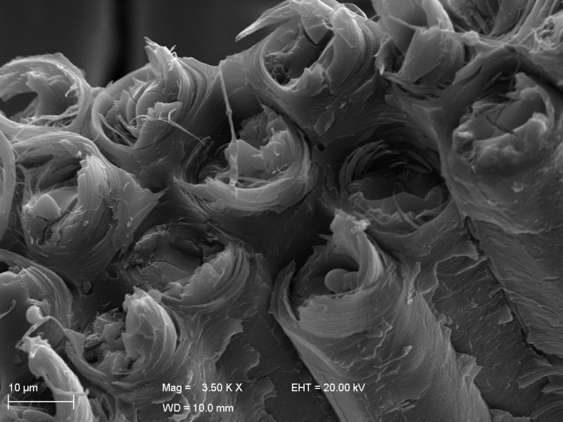 carvão vegetal visto no microscópio eletrônico de varredura