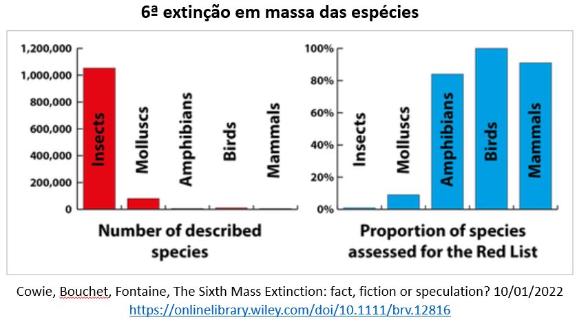 sexta extinção em massa das espécies
