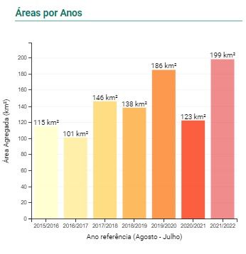 Amazônia: Desmatamento tem segunda maior cifra da série, diz Inpe