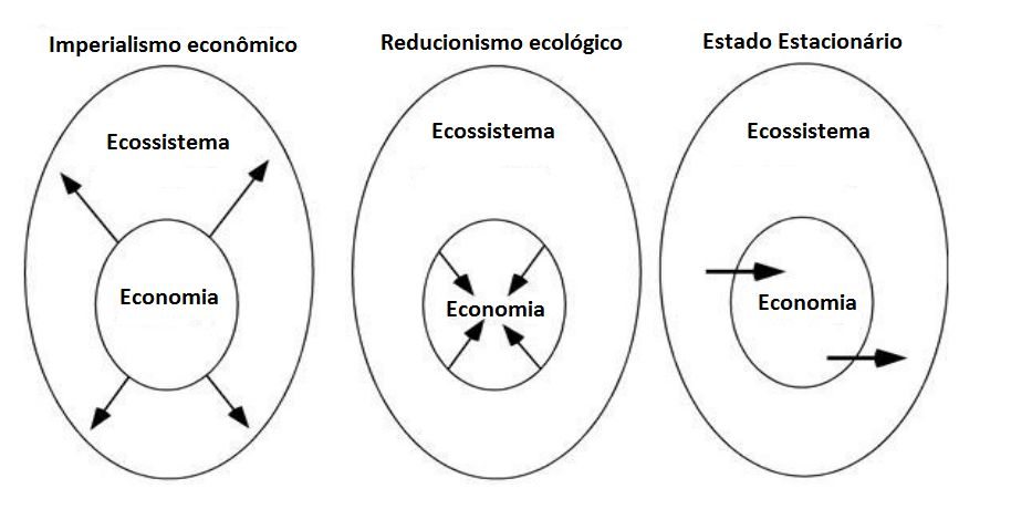 economia é um subsistema aberto que está dentro de uma ecosfera que é finita