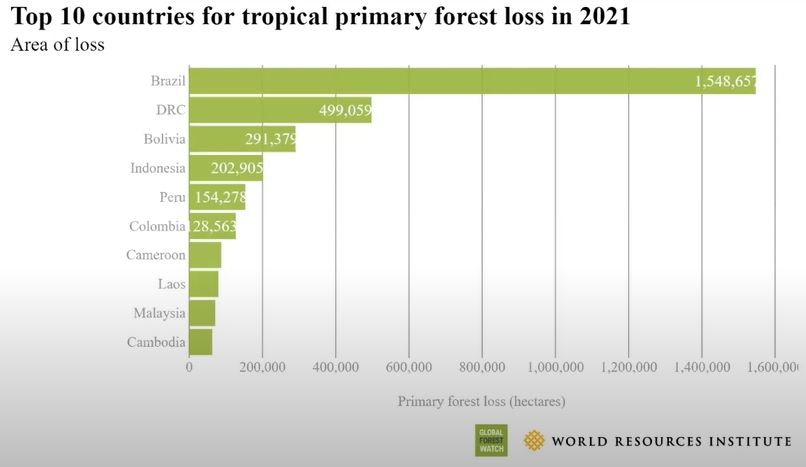 o brasil foi líder na perda de florestas tropicais no mundo