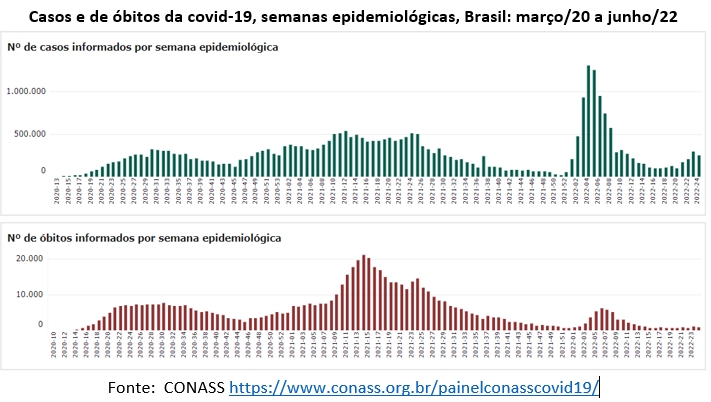 casos e óbitos por covid 19 no brasil