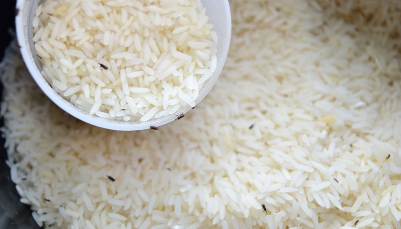 arroz com carunchos