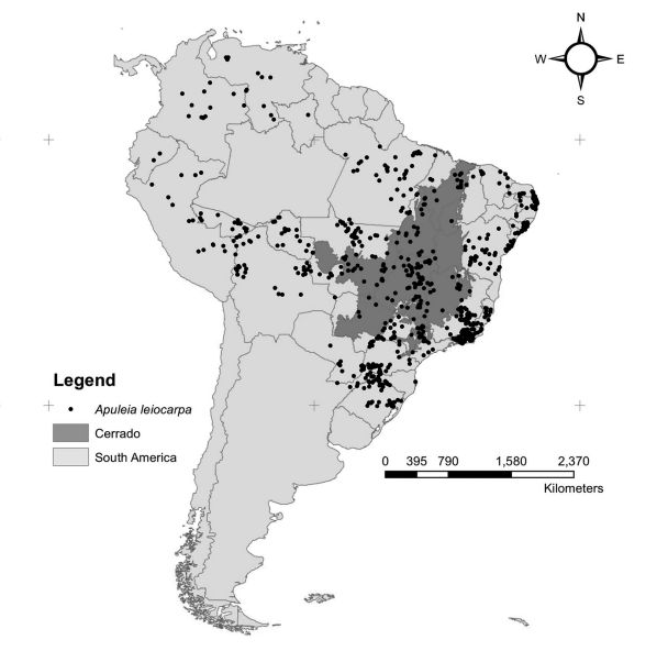 mudança climática reduz germinação e distribuição geográfica de plantas no cerrado