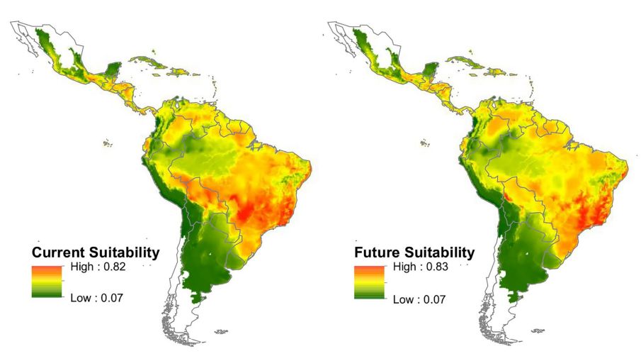 mudança climática reduz germinação e distribuição geográfica de plantas no cerrado