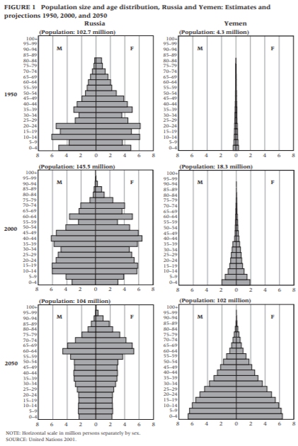 pirâmide populacional do iêmen