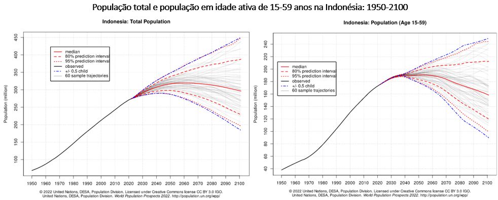 população total e população em idade ativa indonésia