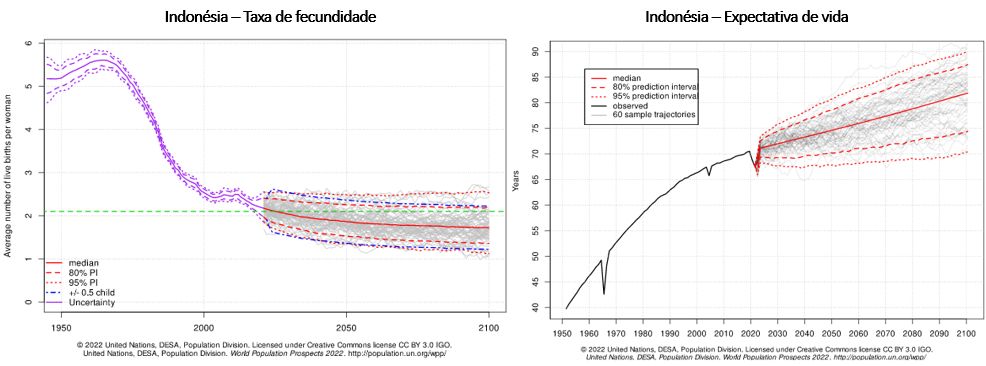 taxa de fecundidade e expectativa de vida indonésia