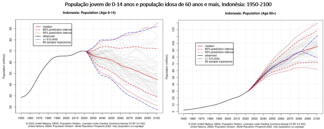 população jovem e população idosa indonésia