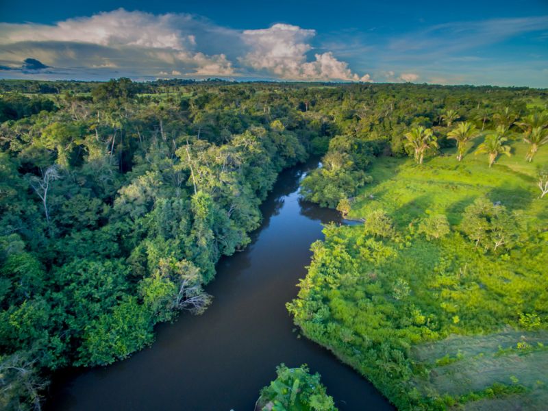 Amazônia