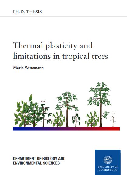 Thermal plasticity and limitations in tropical trees