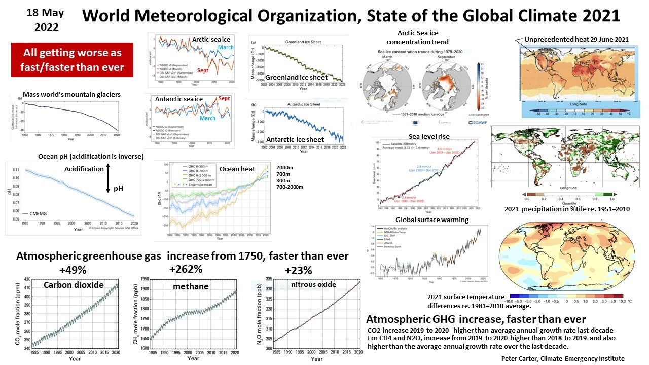 estado do clima global