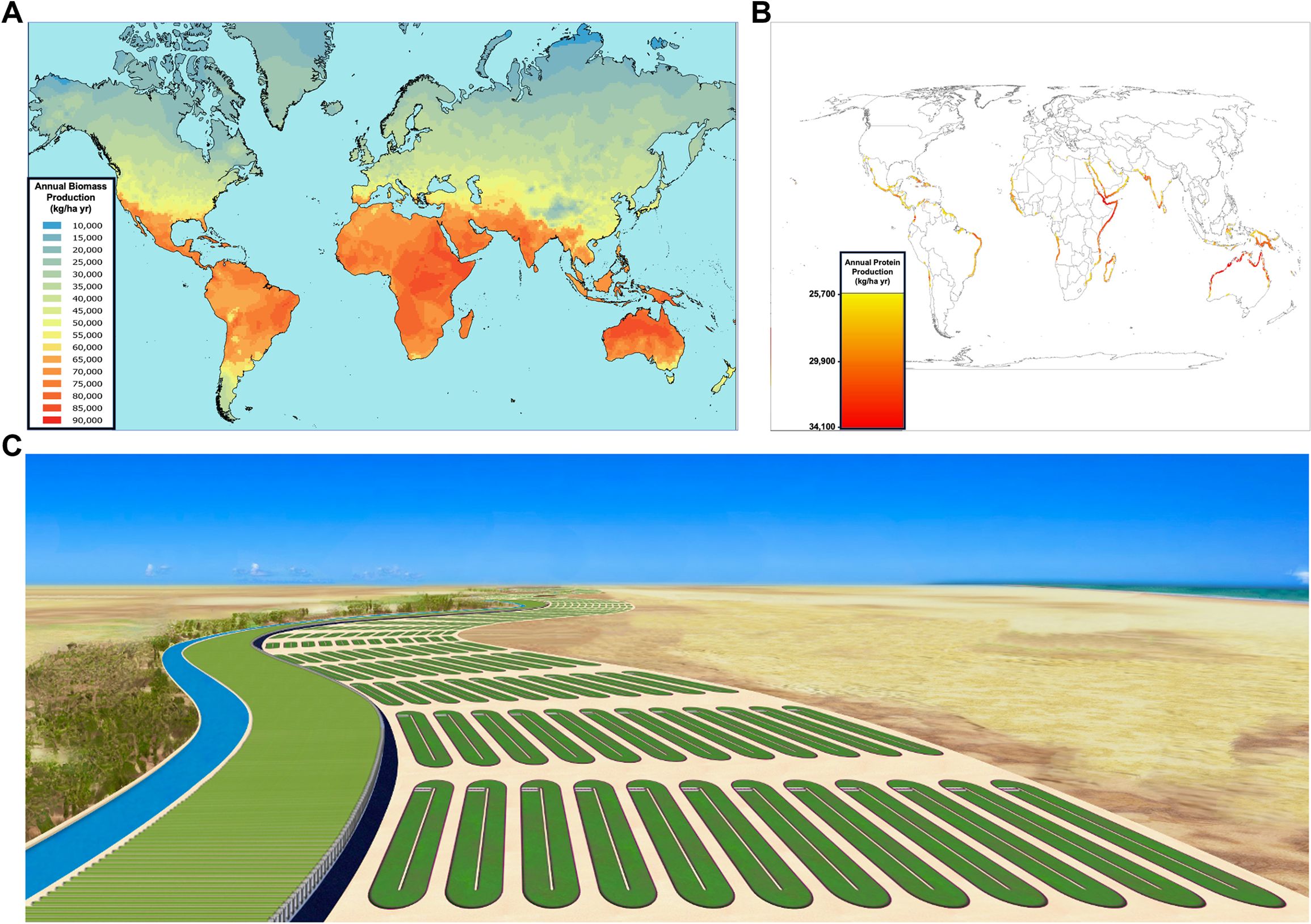 mapa global do potencial de produção de biomassa de microalgas terrestres