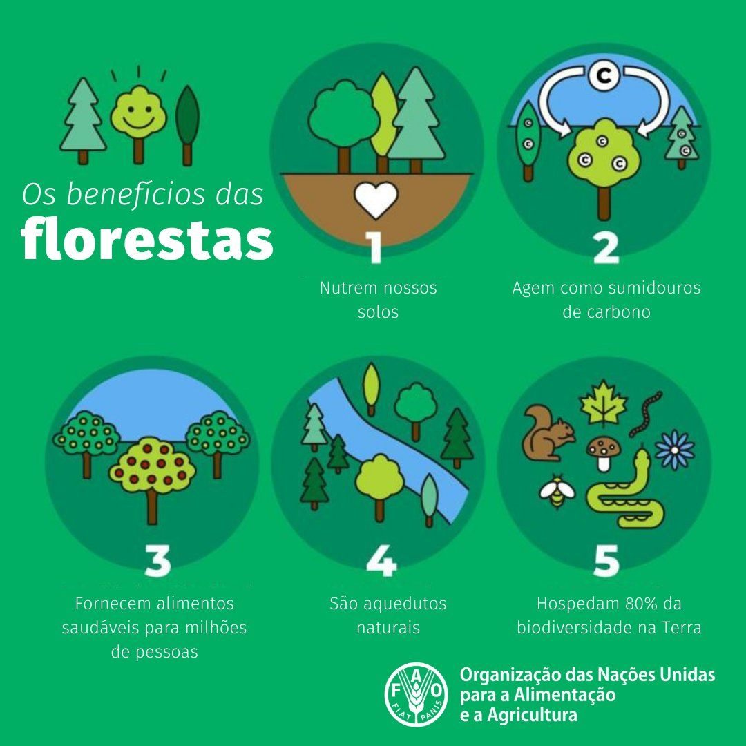 benefícios das florestas