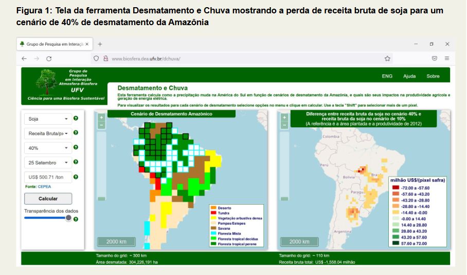 impacto do desmatamento nas chuvas