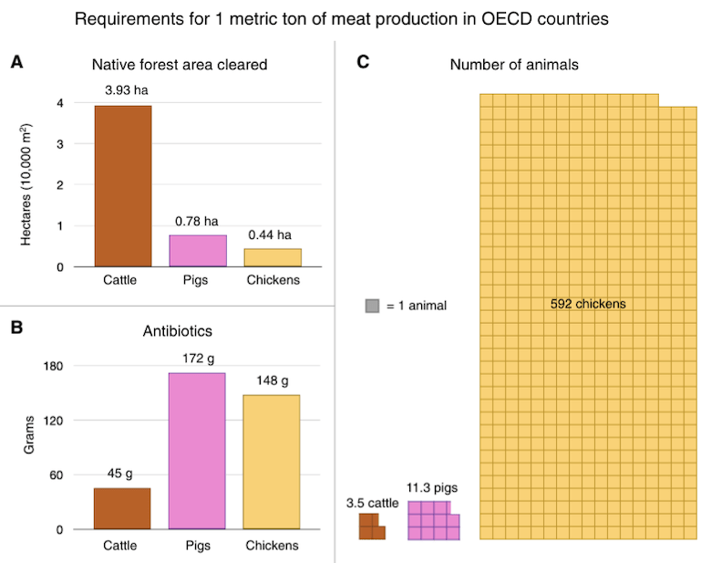 requisitos médios para produzir carne de bovinos (laranja), suínos (rosa) e frangos (amarelo)