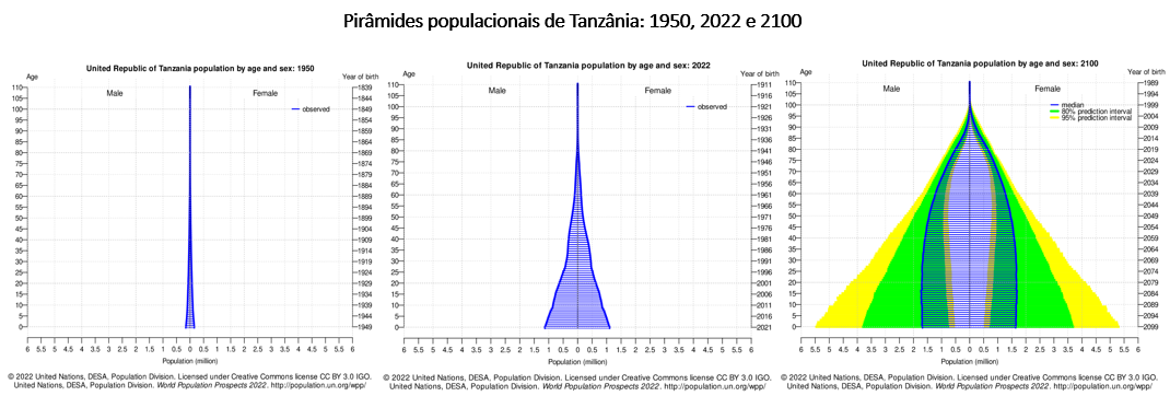 pirâmides populacionais da Tanzânia
