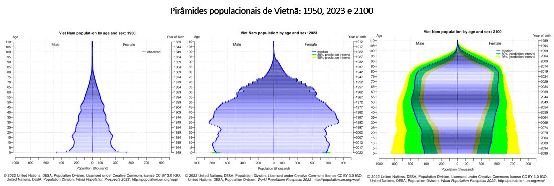 pirâmides populacionais do Vietnã