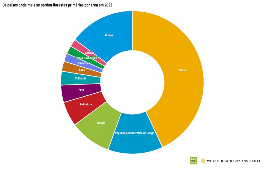 países com maior perda de florestas primárias