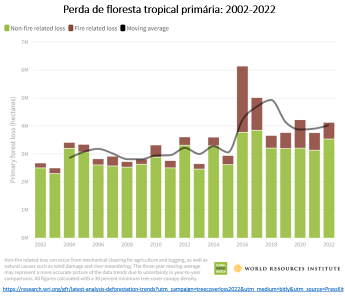 perda de floresta tropical primária
