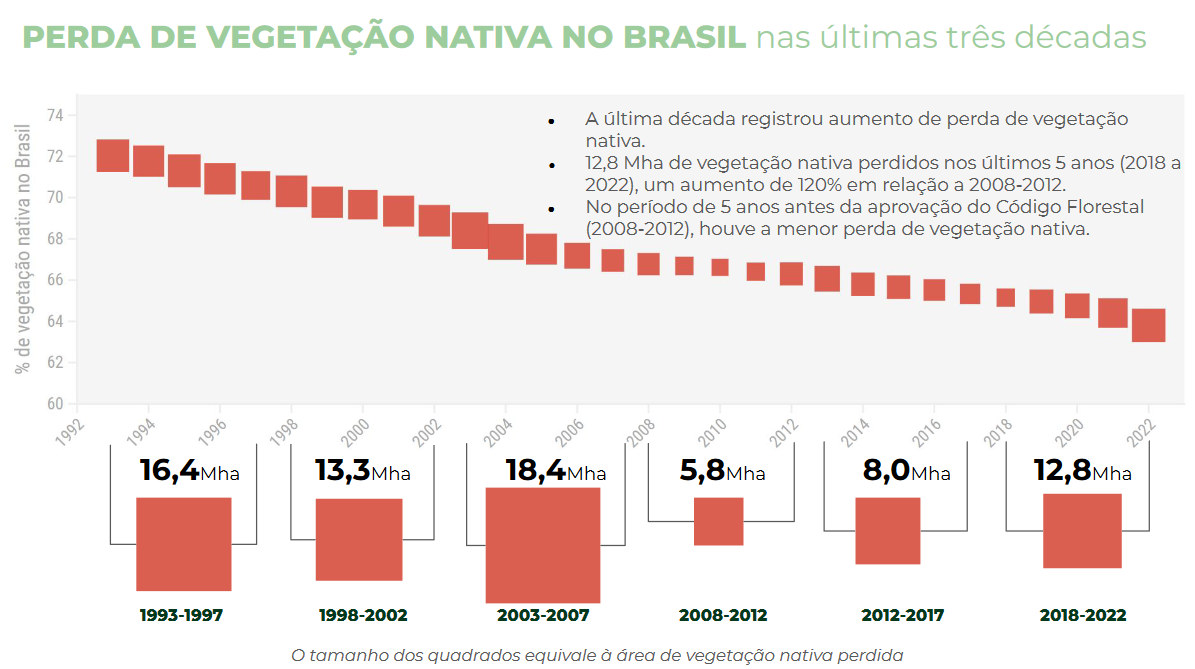 infográfico da perda de vegetação nativa no Brasil