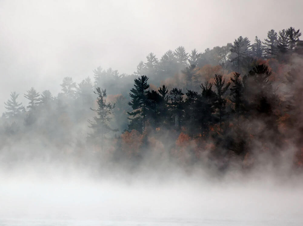 neblina de outono no rio