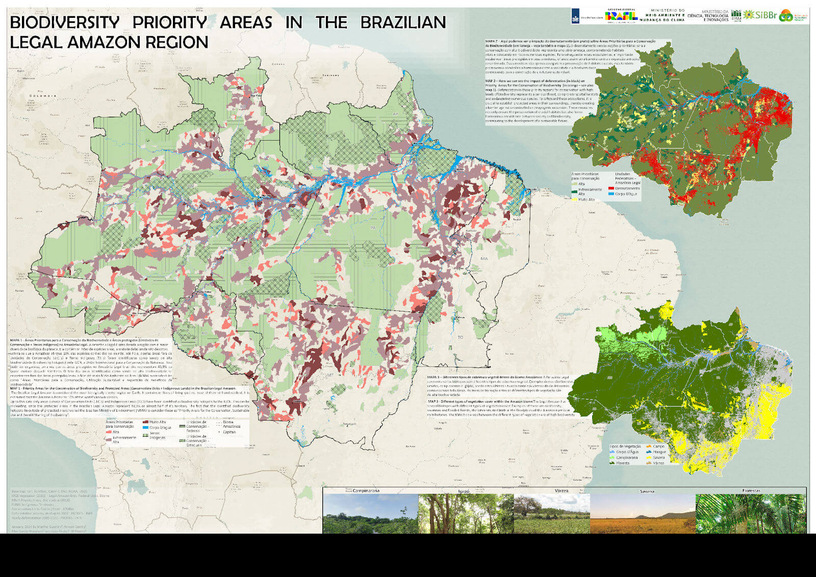 mapa revela vulnerabilidade de áreas críticas na amazônia legal