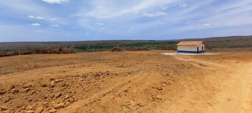 Área panorâmica de supressão vegetal