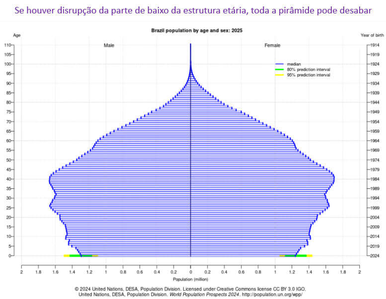 pirâmide populacional no Brasil
