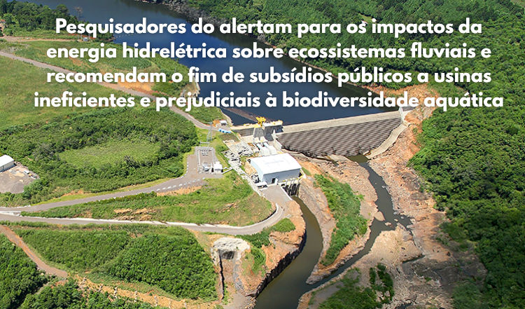 os custos ocultos da energia hidrelétrica