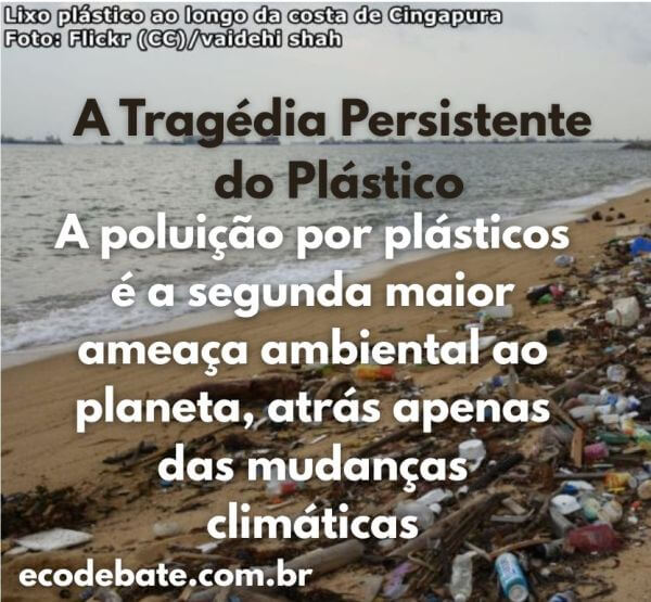 a tragédia persistente do plástico