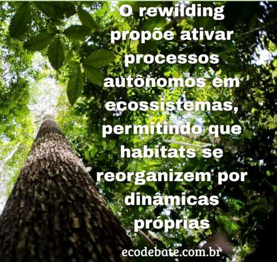 rewilding