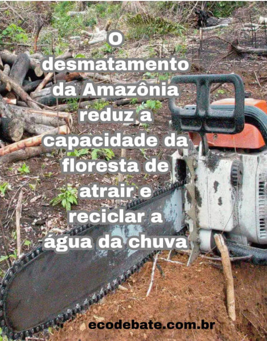 O desmatamento da Amazônia reduz a capacidade da floresta de atrair e reciclar a água da chuva