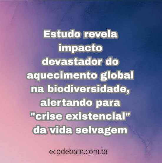 Estudo revela impacto devastador do aquecimento global na biodiversidade, alertando para "crise existencial" da vida selvagem