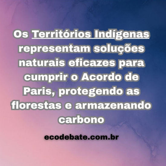 Territórios Indígenas representam soluções naturais eficazes para cumprir o Acordo de Paris, protegendo as florestas e armazenando carbono