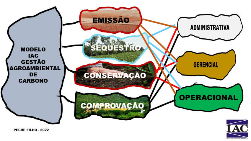 Representação esquemática do Modelo IAC de Gestão de Carbono