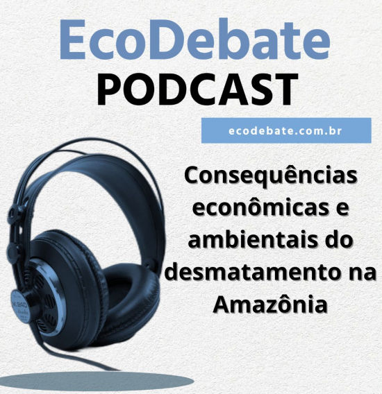 Podcast – Consequências econômicas e ambientais do desmatamento na Amazônia