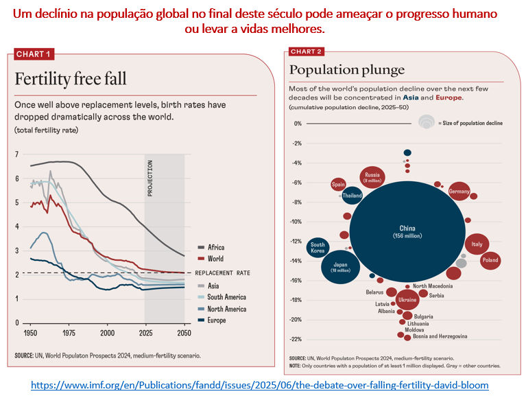 Decrescimento demográfico global: danação ou redenção?