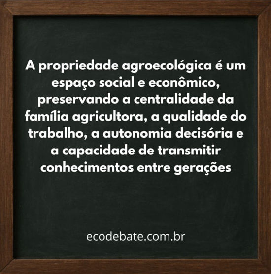 a propriedade agroecológica é um espaço social e econômico. Ela preserva a centralidade da família agricultora, a qualidade do trabalho, a autonomia decisória e a capacidade de transmitir conhecimentos entre gerações