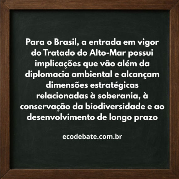 A importância do Tratado do Alto-Mar e a defesa do oceano como bem comum