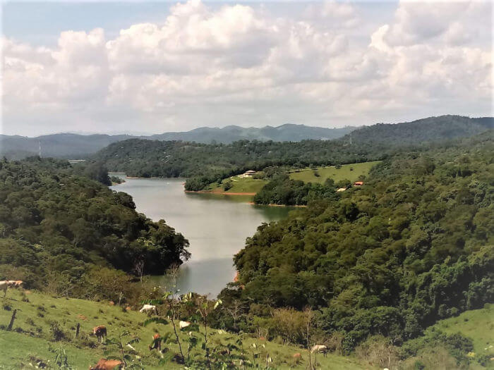 importância ecológica dos ambientes ciliares